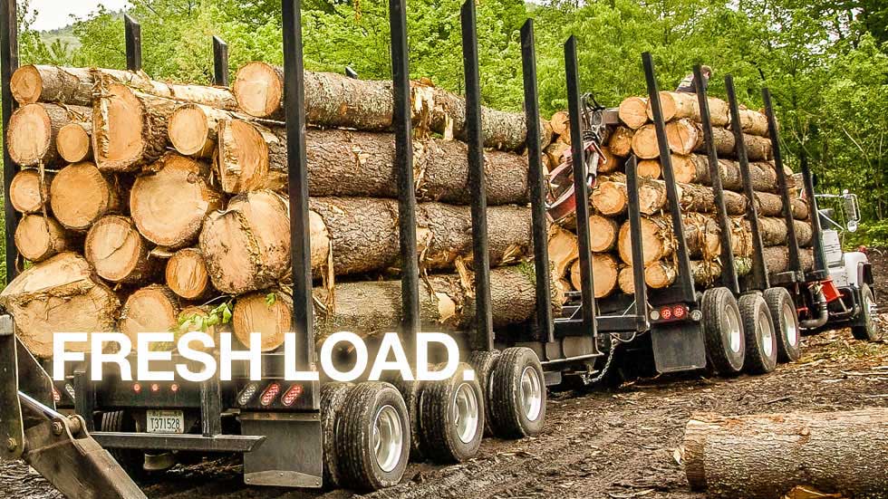 MARK Lumber Company - Prime Sports Label, Canadian Yellow Birch Wood B –  Prime Sports Midwest